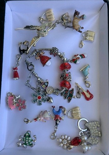 Mixed charm bracelet - bracelet,